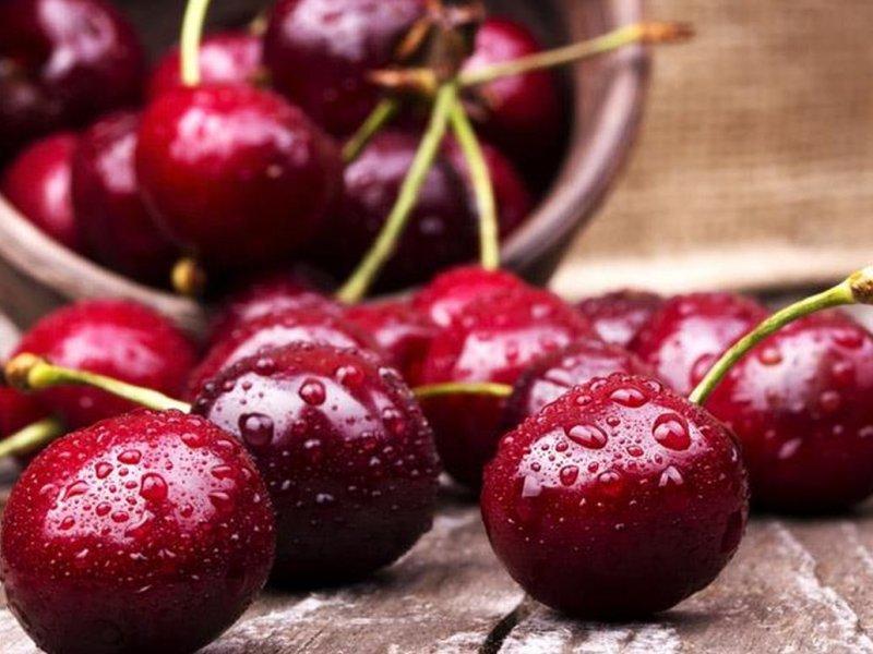 Вишня купить саженцы из питомника в Орле